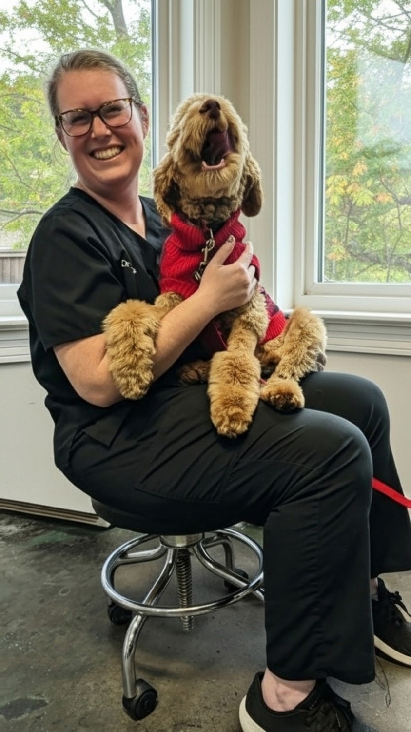 Profile for Reagan Peters